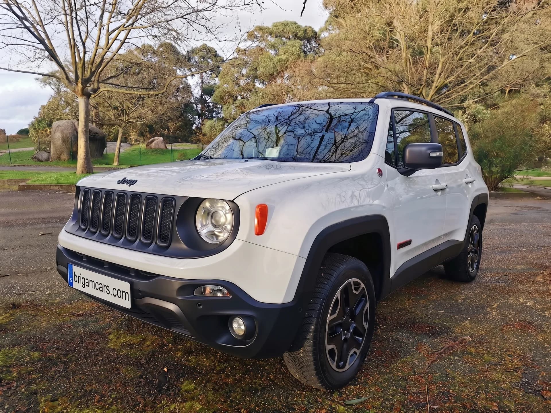 Jeep Renegade 2.0 Mjet Trailhawk 4x4 Auto AD Low
