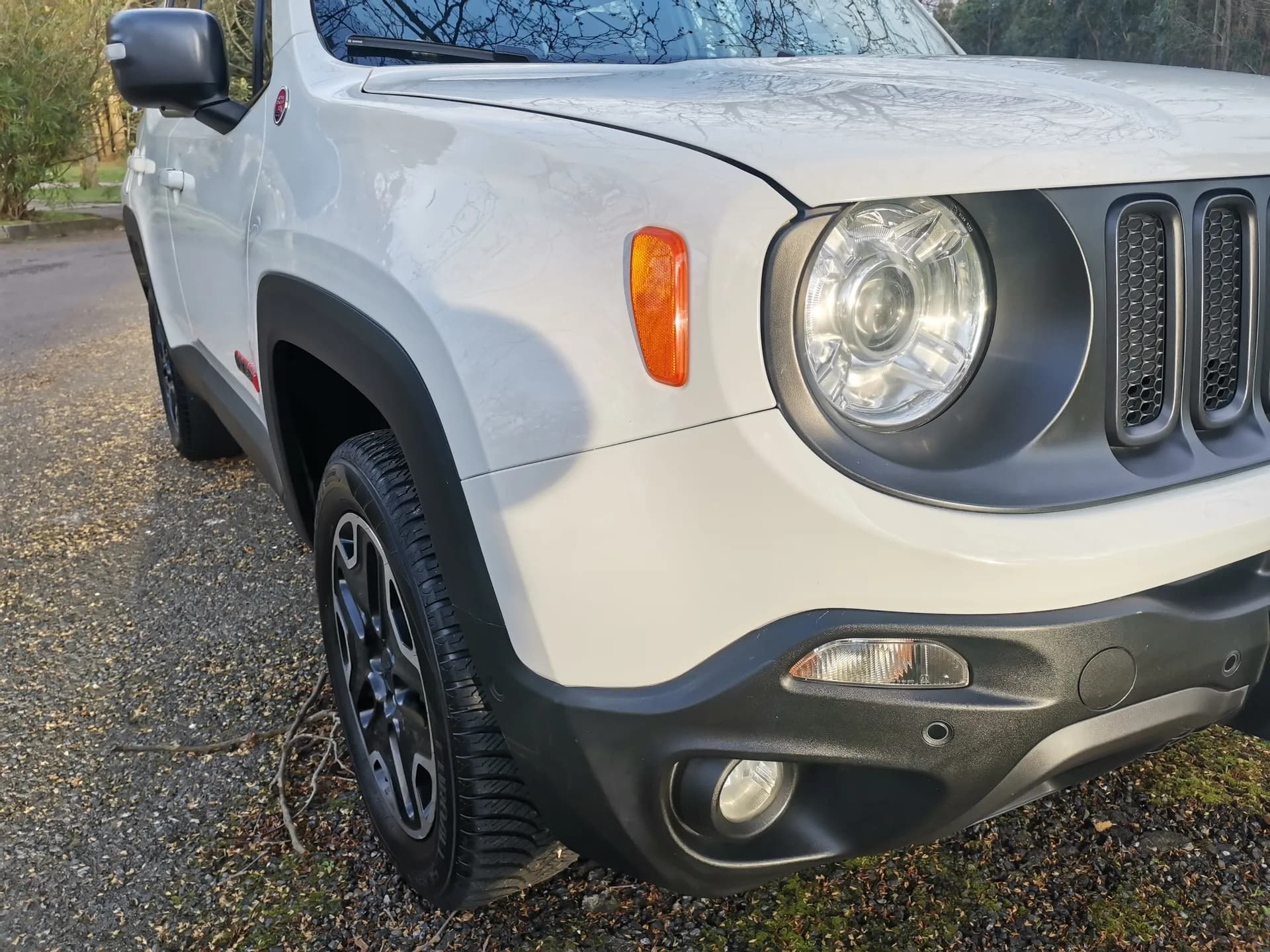 Jeep Renegade 2.0 Mjet Trailhawk 4x4 Auto AD Low — fotografía 34 de 35