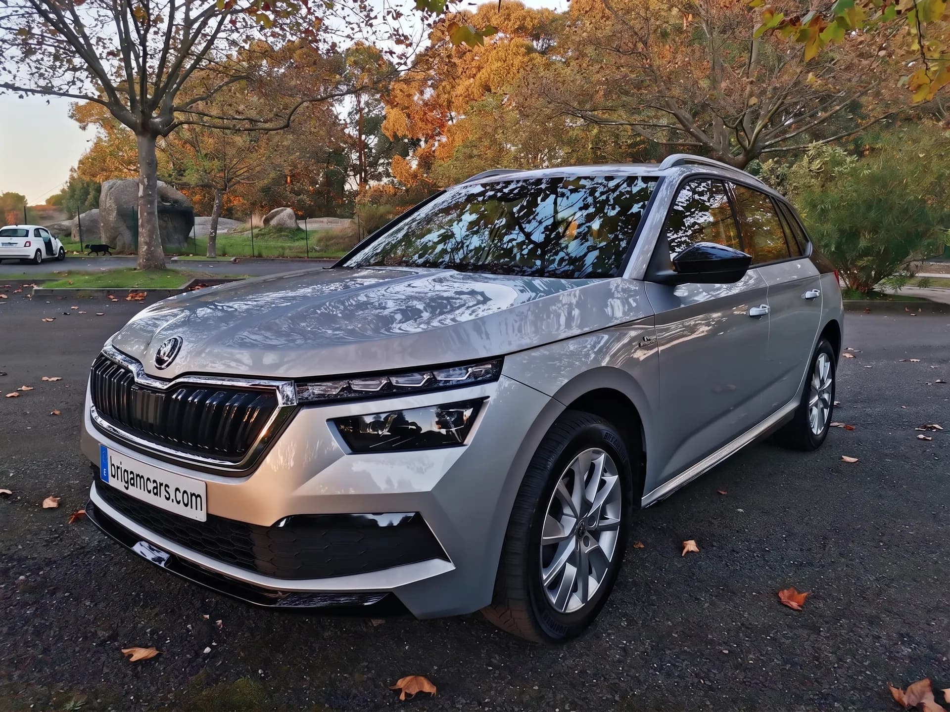 Skoda Kamiq 1.6 TDI 85kW 115CV Sport