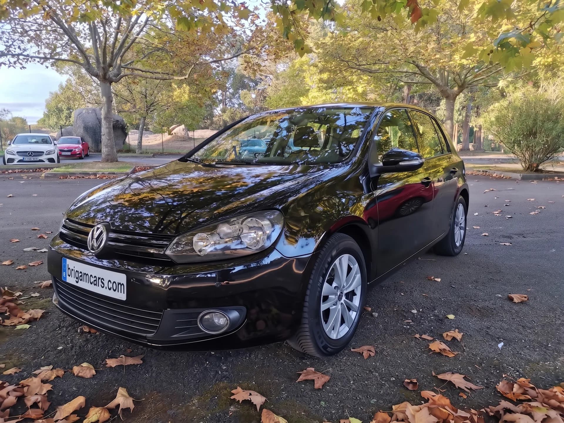 Volkswagen Golf 1.6 TDI BlueMotion — fotografía principal