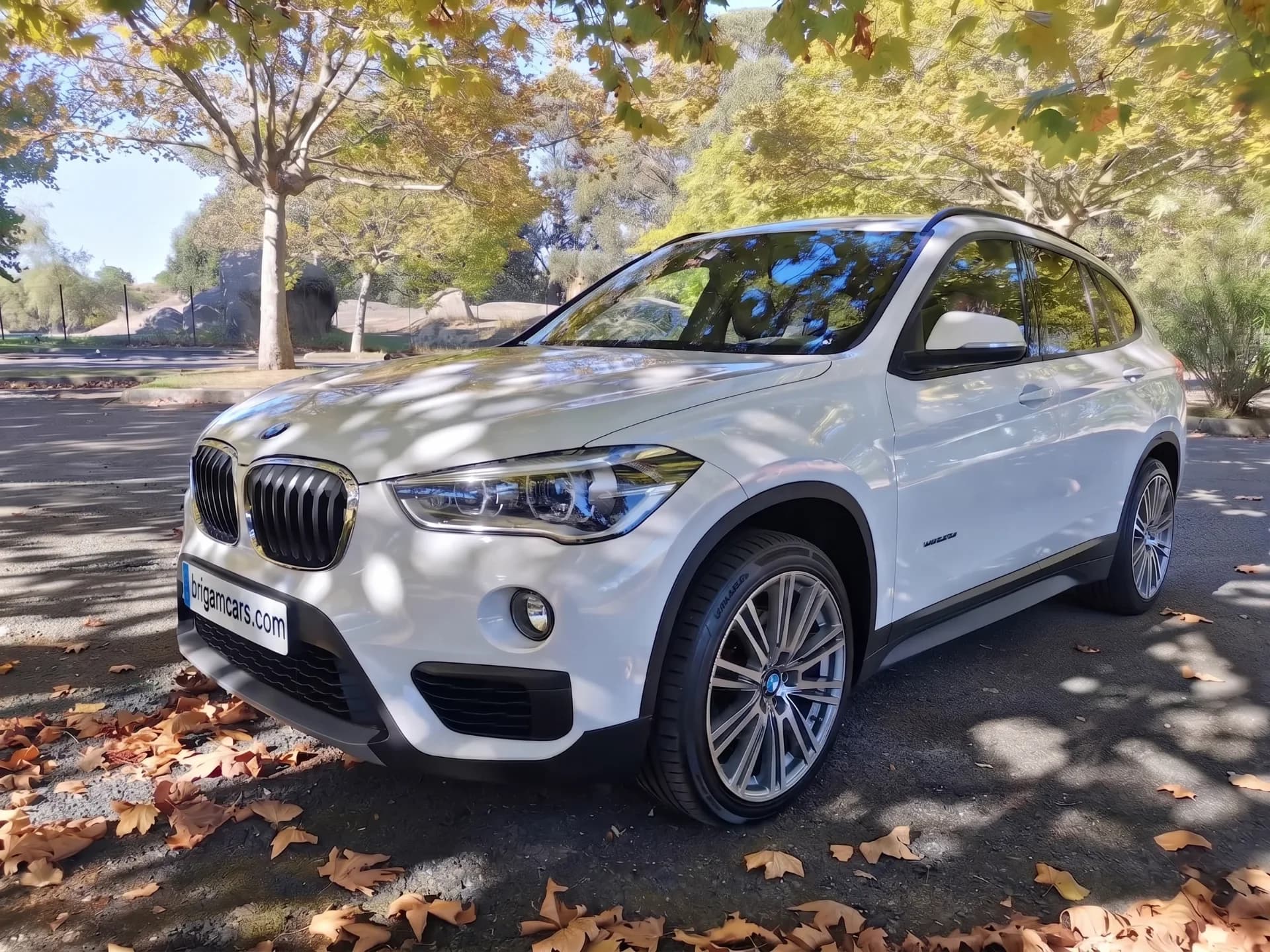 BMW X1 2.0D S-DRIVE SPORT