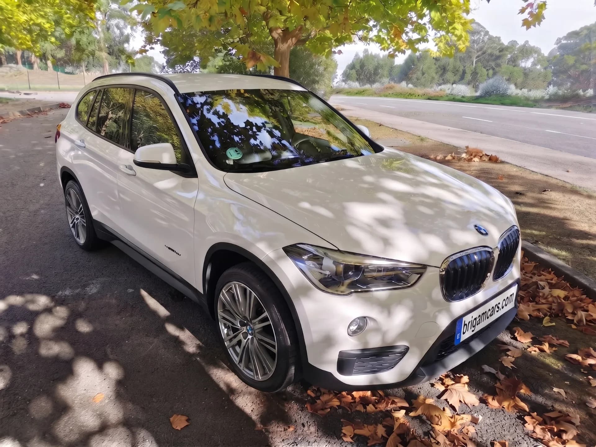 BMW X1 2.0D S-DRIVE SPORT — fotografía 2 de 35