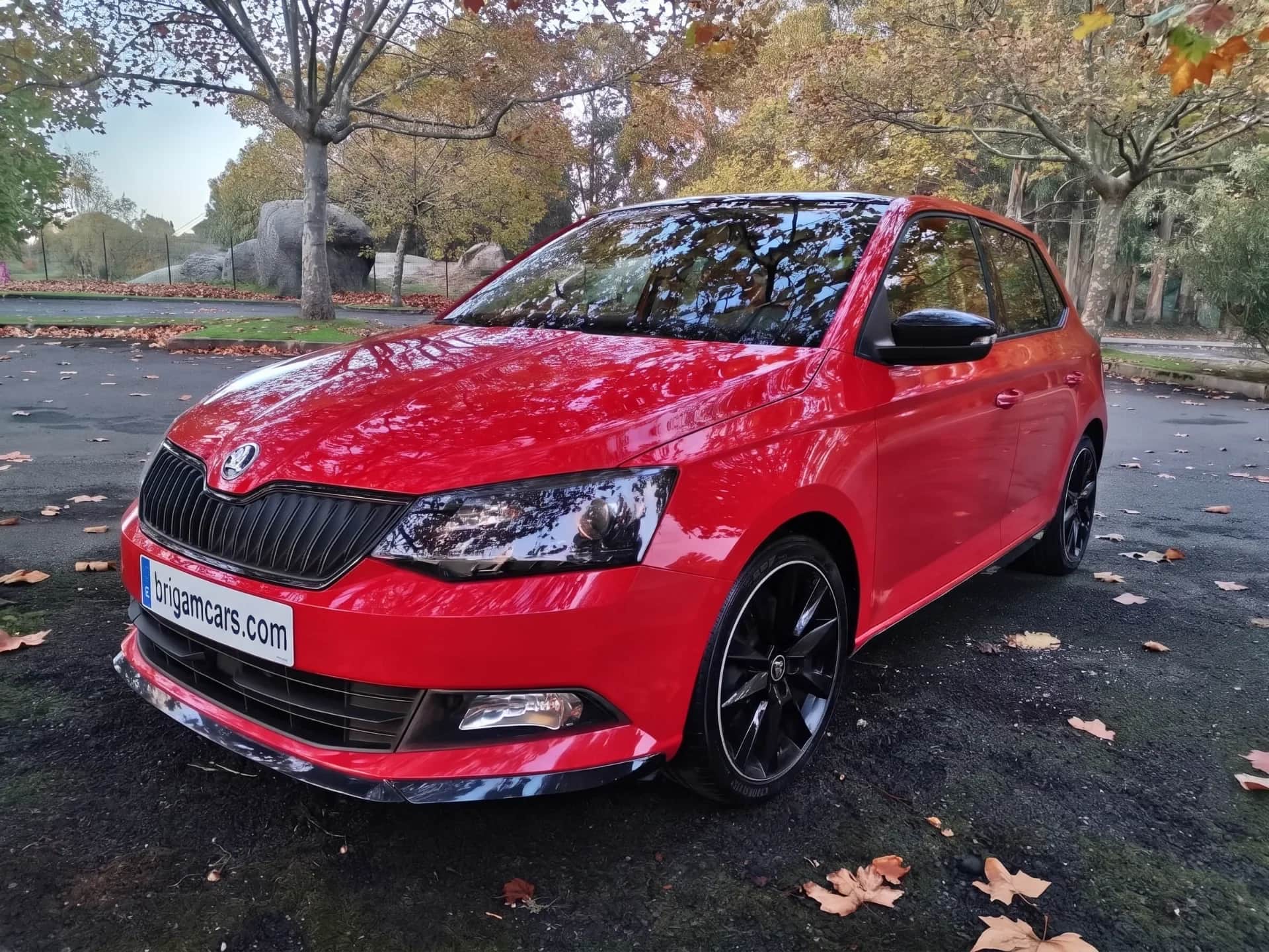 Skoda Fabia 1.2 TSI 110cv Monte Carlo