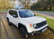 JEEP Renegade 2.0 Mjet Trailhawk 4×4 170CV Auto AD Low
