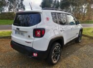 JEEP Renegade 2.0 Mjet Trailhawk 4×4 170CV Auto AD Low