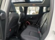 JEEP Renegade 2.0 Mjet Trailhawk 4×4 170CV Auto AD Low